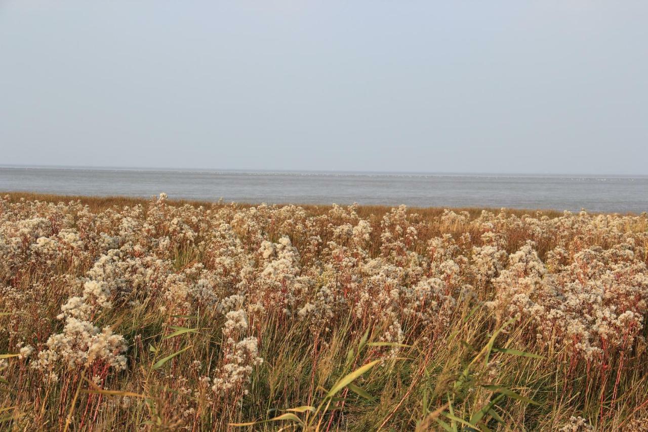 Annemaries Nordseehaus Бутадинген Екстериор снимка